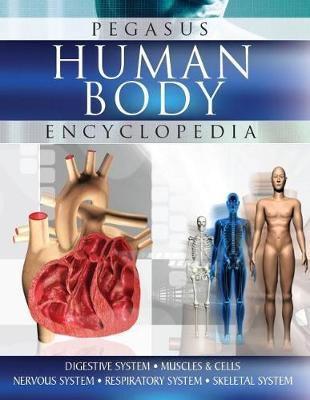 Human Body. Digestive System