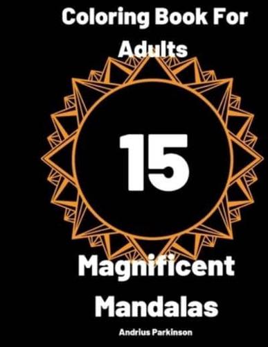 15 Magnificent Mandalas