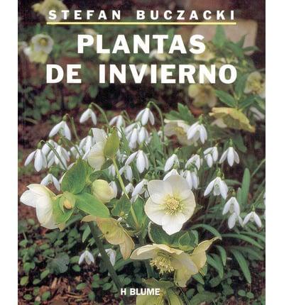 Plantas de Invierno