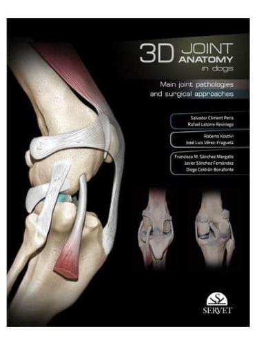 3D Joint Anatomy in Dogs. Main Joint Pathologies and Surgical Approaches