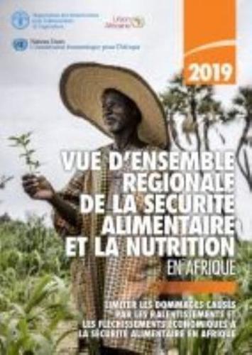 Vue D'ensemble Régionale De La Sécurité Alimentaire Et La Nutrition En Afrique 2019