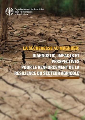 La Sécheresse Au Maghreb