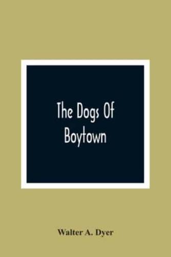 The Dogs Of Boytown