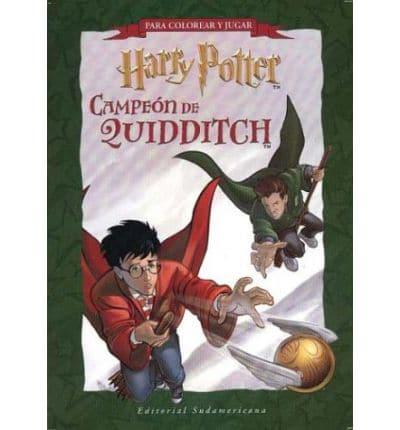 Harry Potter Campeon de Quiddi - Block Actividades