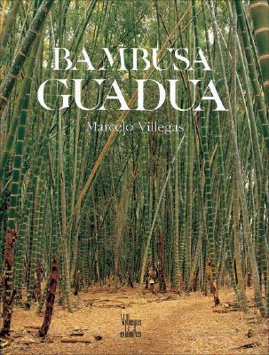 Bambusa Guadua