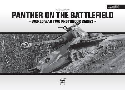 Panther on the Battlefield: Volume 6