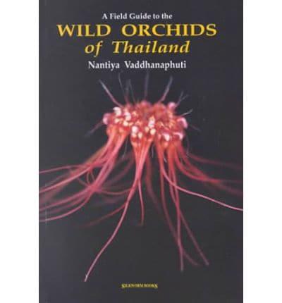A Field Guide to the Wild Orchids of Thailand