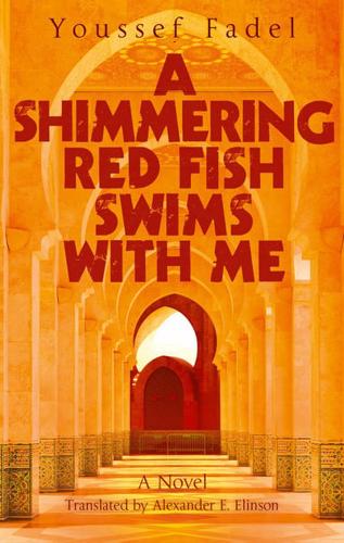 A Shimmering Red Fish Swims With Me