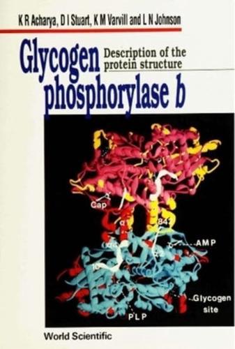 Glycogen Phosphorylase B: Description Of The Protein Structure
