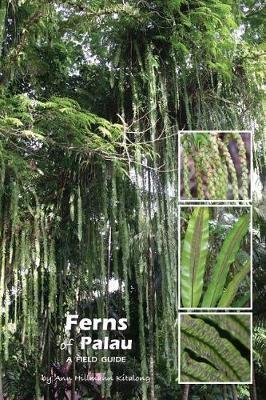 Ferns of Palau