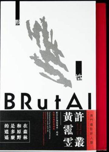 Brutal A Contemporary Photographic Book