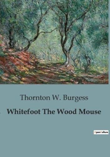 Whitefoot The Wood Mouse