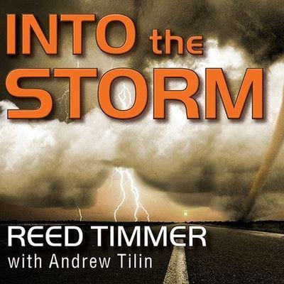 Into the Storm Lib/E