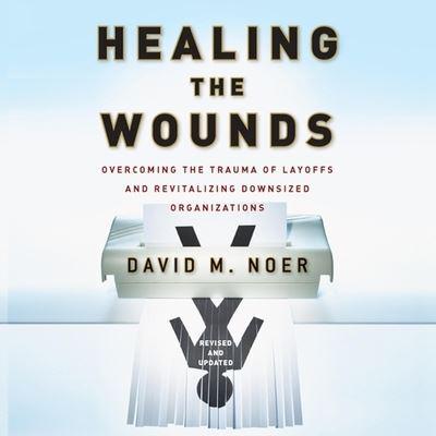 Healing the Wounds Lib/E
