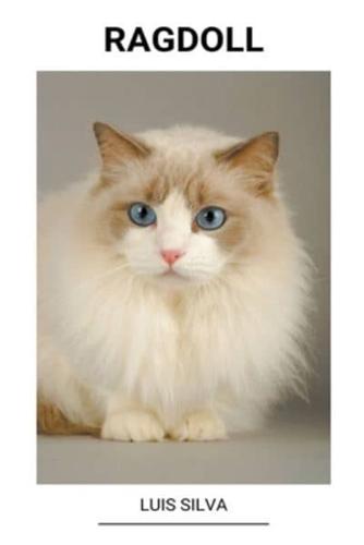 Ragdoll