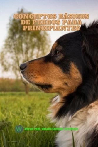 Conceptos Básicos De Perros Para Principiantes