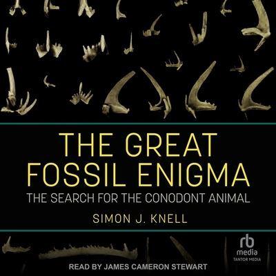The Great Fossil Enigma