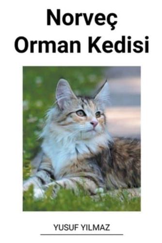 Norveç Orman Kedisi