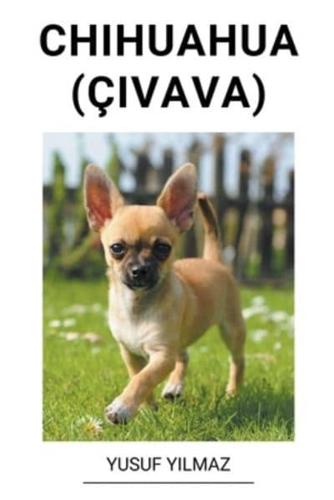 Chihuahua (Çivava)