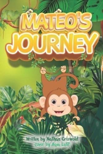 Mateo's Journey