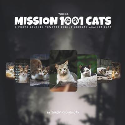Mission 1001 Cats