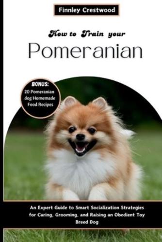 How To Train Your Pomeranian