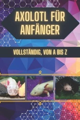 Axolotl Für Anfänger