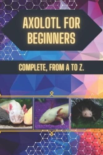 Axolotl for Beginners