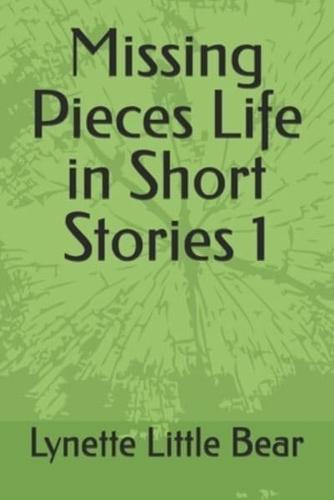Missing Pieces Life in Short Stories 1