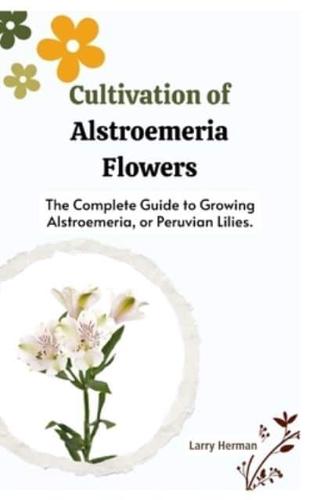 Cultivation of Alstroemeria Flowers
