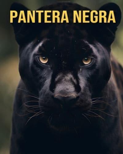 Pantera Negra