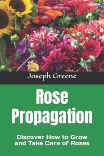 Rose Propagation