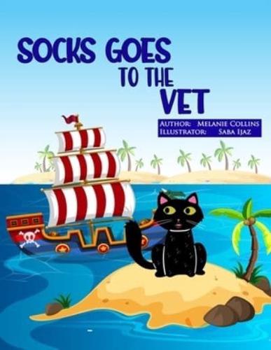 Socks Goes to the Vet