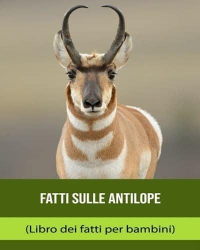 Fatti Sulle Antilope (Libro Dei Fatti Per Bambini)