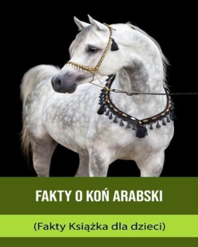 Fakty O Koń Arabski (Fakty Książka Dla Dzieci)