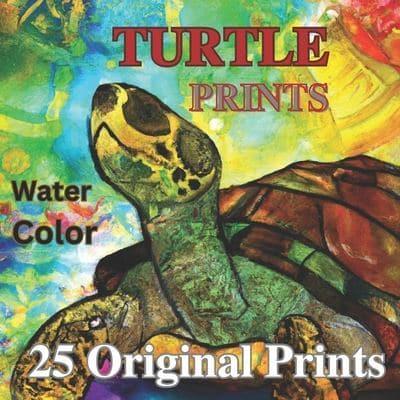 Turtles Original Prints