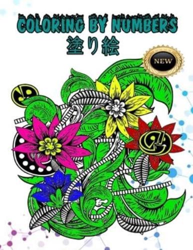 Coloring by Numbers塗り絵
