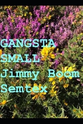Gangsta Small