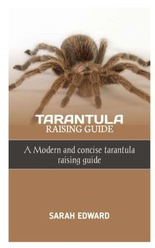 Tarantula Raising Guide