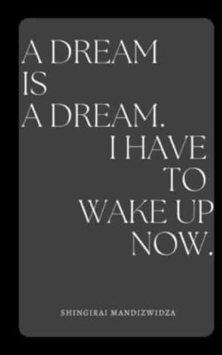 A Dream Is a Dream. I Have to Wake Up Now.