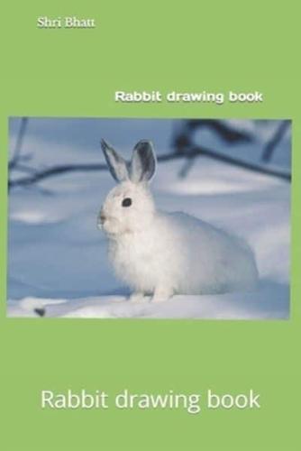 Rabbit drawing book