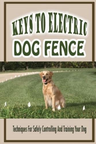 Keys To Electric Dog Fence-Techniques For Safely Controlling And Training Your Dog