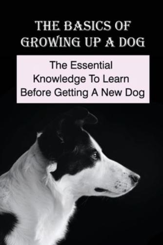 The Basics Of Growing Up A Dog