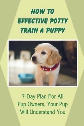How To Effective Potty Train A Puppy