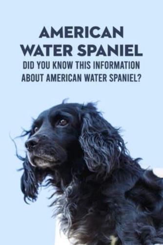 American Water Spaniel: Did You Know This Information About American Water Spaniel?: Everything You Need To Know About American Water Spaniel
