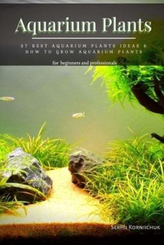 Aquarium Plants: 37 Best Aquarium Plants Ideas & How tо Grow Aquarium Plants