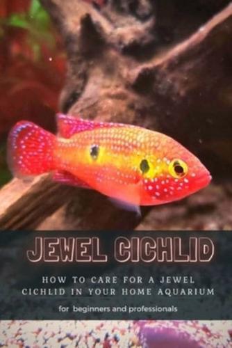 JEWEL CICHLID: HOW TО CARE FOR А JEWEL CICHLID IN YOUR HOME AQUARIUM