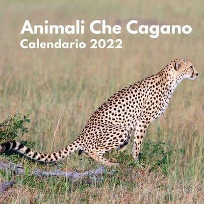 Animali Che Cagano Calendario 2022: amanti degli animali   calendario divertente 2022   divertenti idee regalo di compleanno o natale