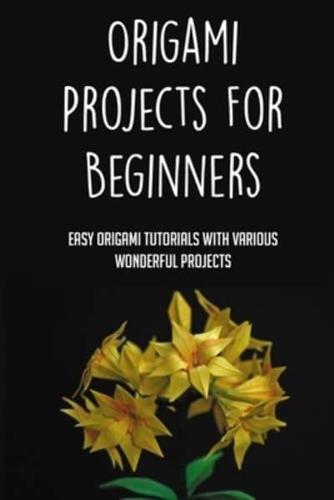 Origami Projects For Beginners