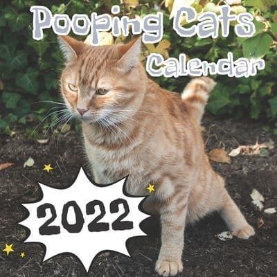 Pooping Cats Calendar: Funny Gift Wall Calendar For Animal Lovers !!! To Office Or For Friends !!!